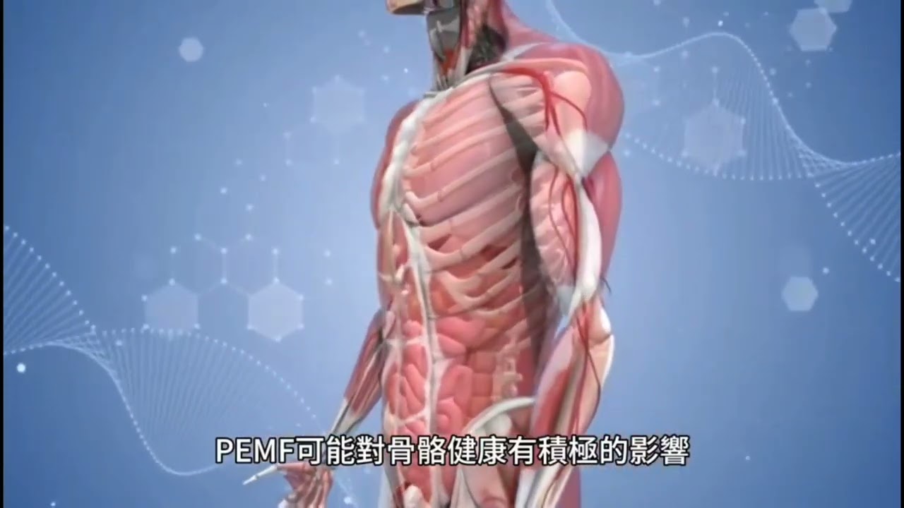 脉冲磁场唤醒你体内的第五元素