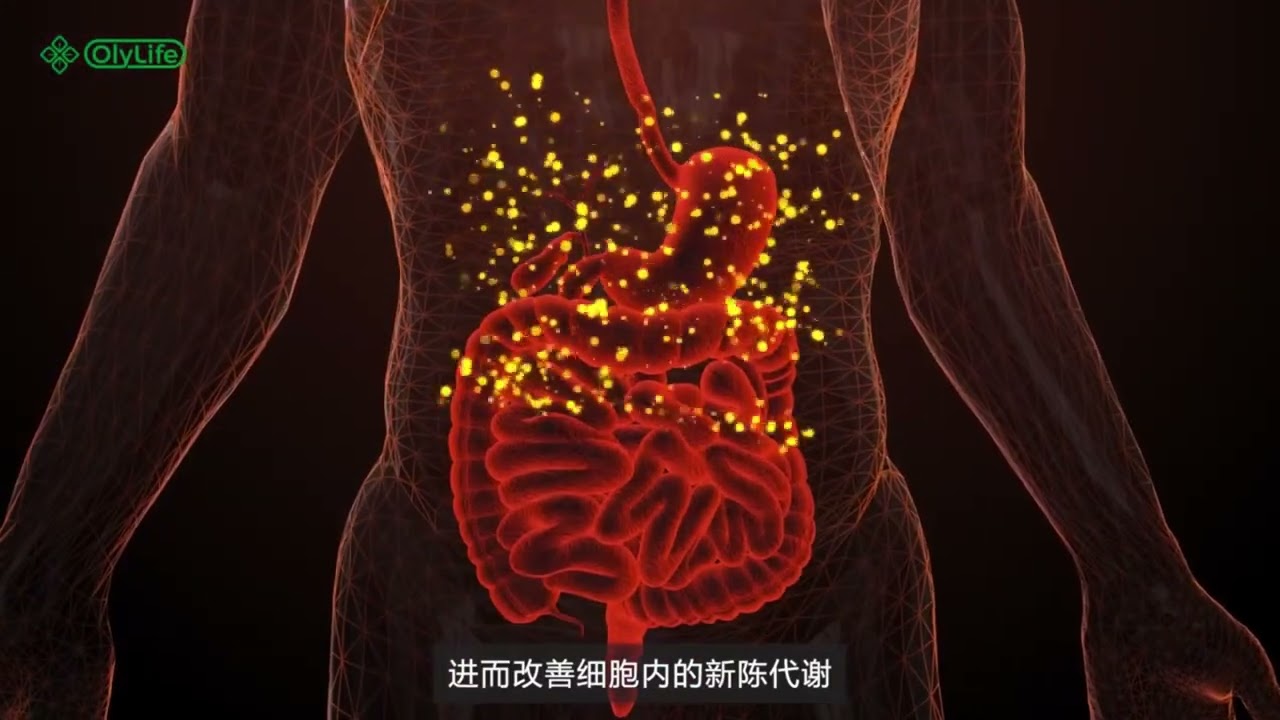 PEMF 療效 (廣東話) - 健康之行 始於足下 人體細胞充電器