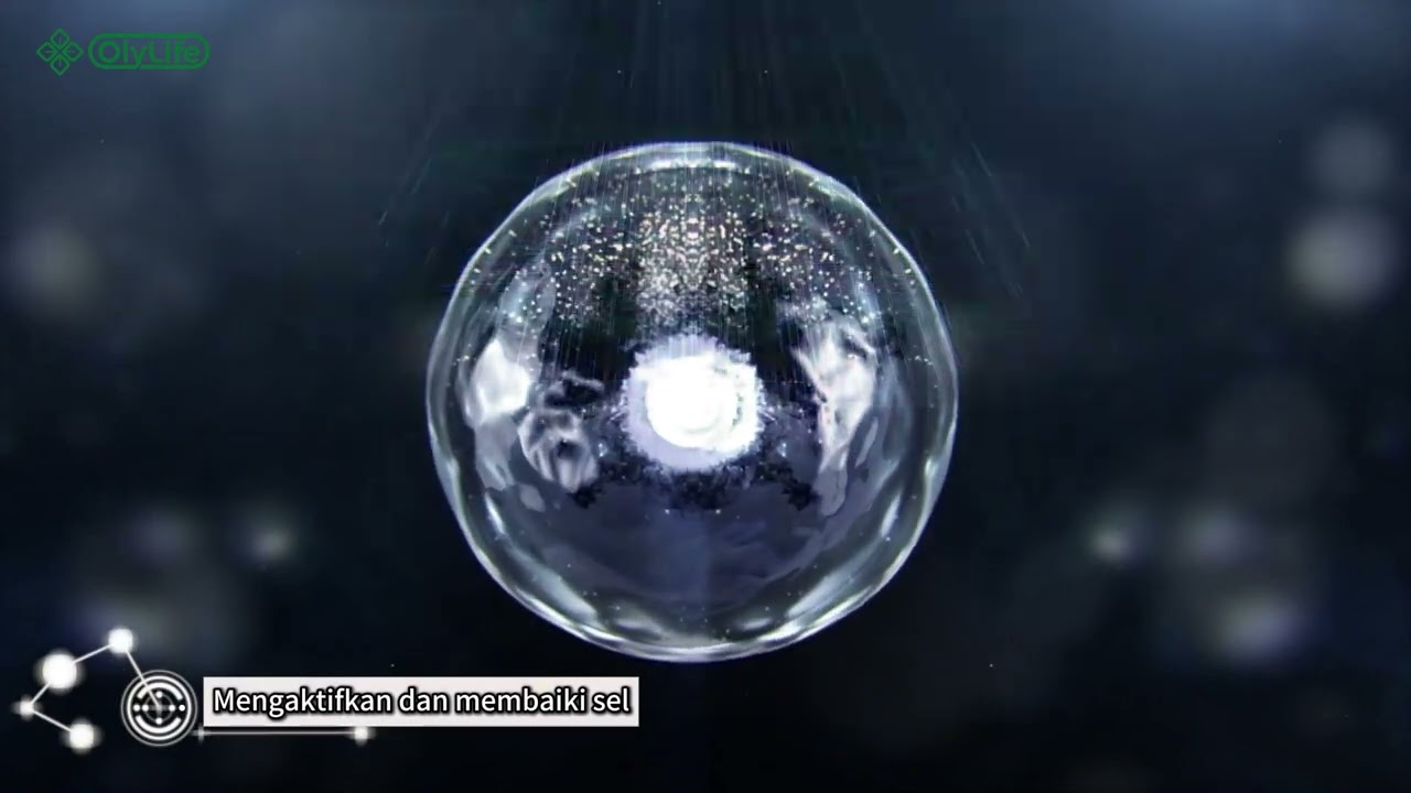 VITALITY WAND Promotional video BM