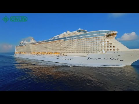 OlyLife Japan Cruise Reward Journey Day 4