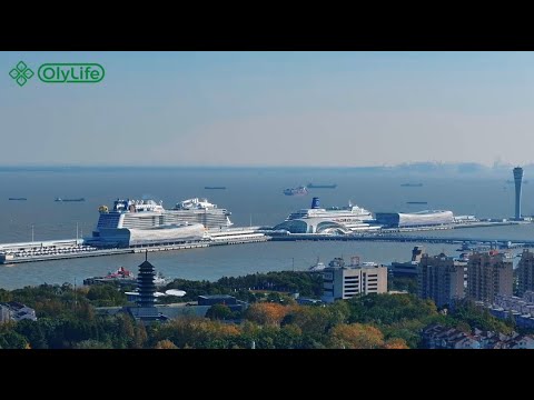 OlyLife Japan Cruise Reward Journey Day 1